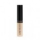 Ray of Light Concealer