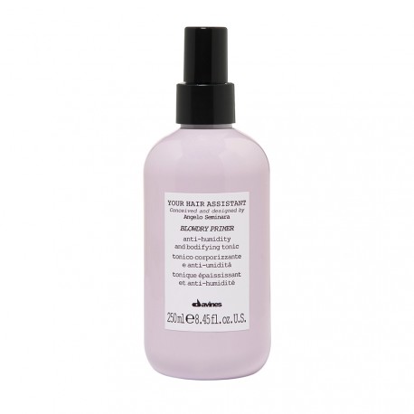 Your Hair Assistant Blowdry Primer Davines