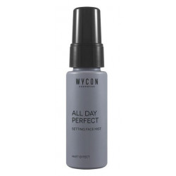 All Day Perfect Matt Effect Wycon Cosmetics